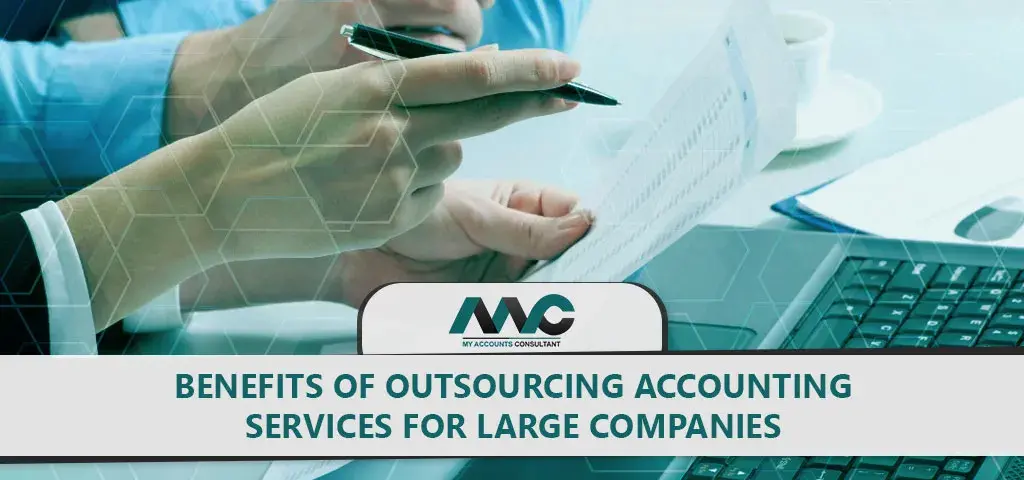 Accounting Services for Large Companies